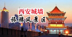 性虐强奸大黄片中国陕西-西安城墙旅游风景区
